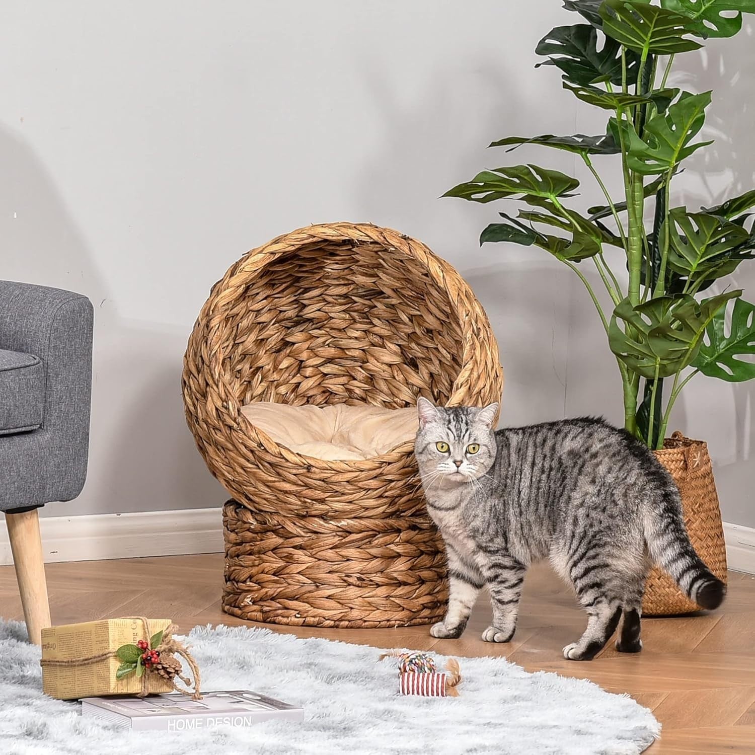 Raised Wicker Cat House Bed Water Hyacinth Basket w Soft Cushion