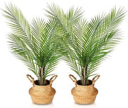 80cm Artificial Palm Trees in Seagrass Basket – 2 Pack Indoor Home Décor