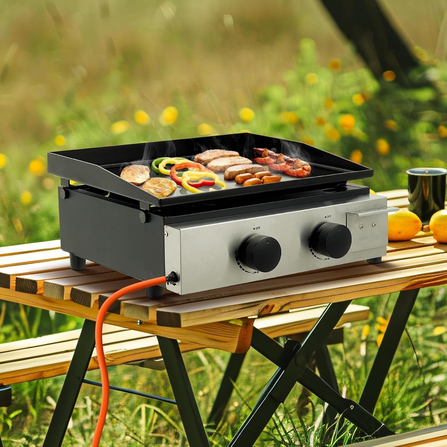 Portable 2 Burner Gas BBQ Grill Ceramic Cast Iron Plate Outdoor Camping Cooking
