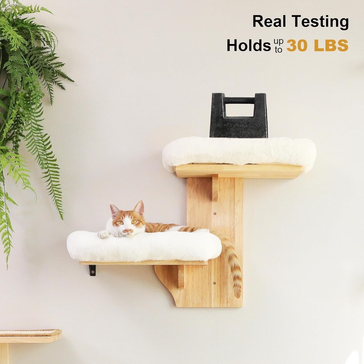 Cat Wall Shelves Tree Shape Floating Perch Wood Platforms w Cushion
