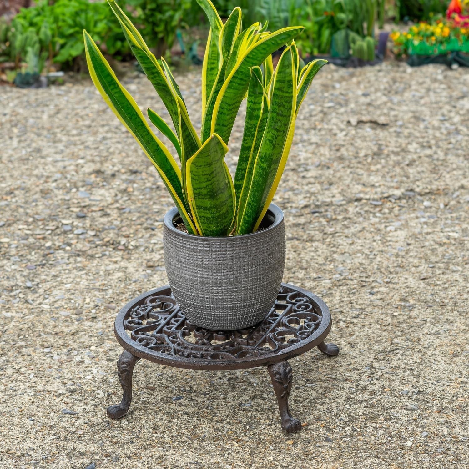Cast Iron Plant Stand Indoor Outdoor | Heavy Duty Raised Garden Pot Holder 11”