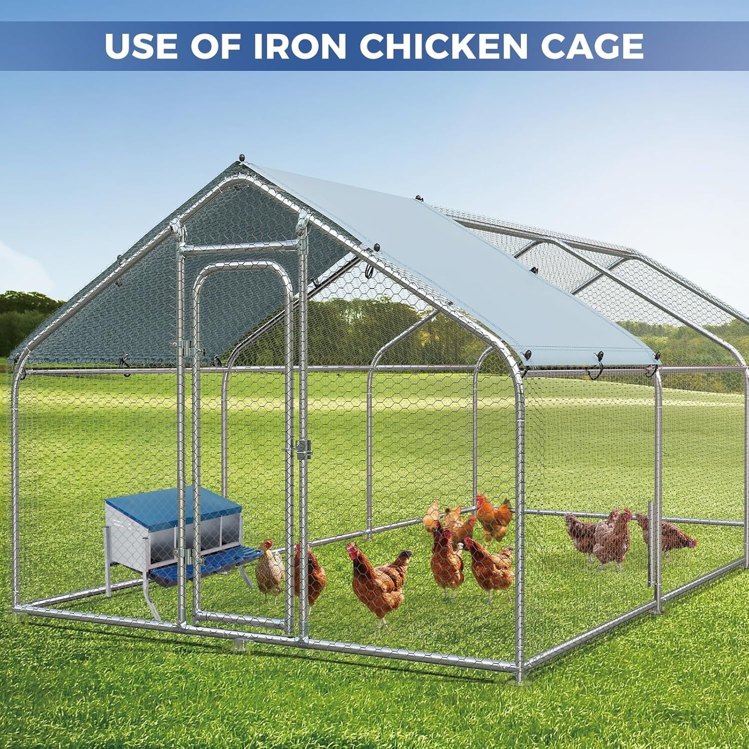 4 Chamber Steel Chicken Nesting Box with Stand Pull Out Tray