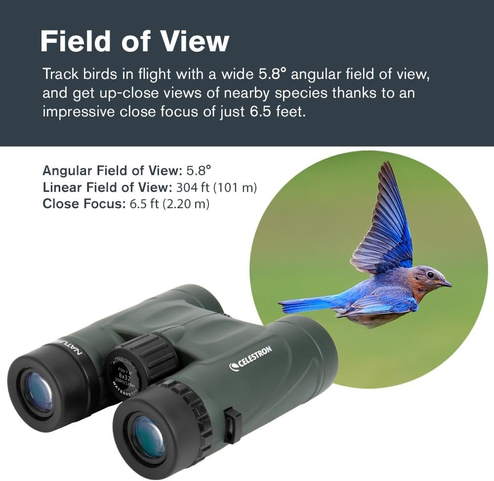 10x32 Waterproof Binoculars HD Compact Birdwatching Travel Outdoor Viewing