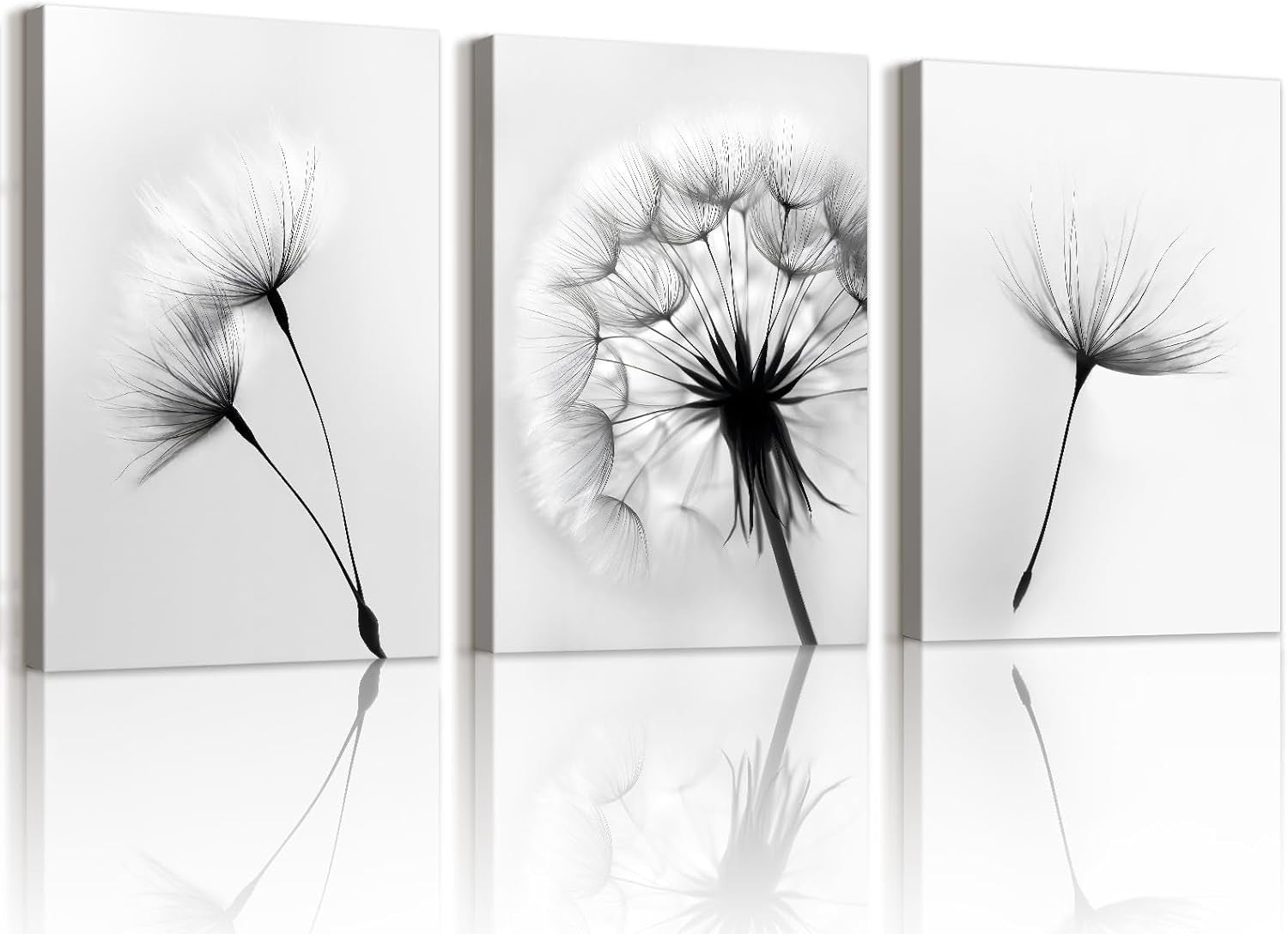 Set of 3 Black White Dandelion Canvas Wall Art Framed