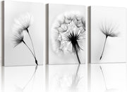 Set of 3 Black White Dandelion Canvas Wall Art Framed