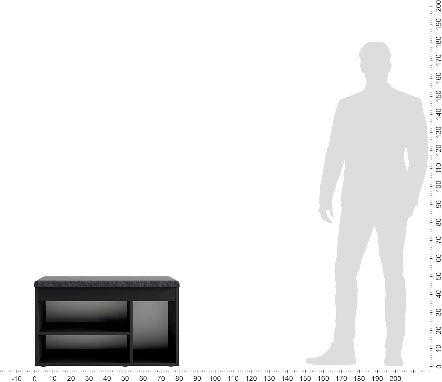 Black Shoe Storage Bench with Cushion Hidden Seat for Entryway Hallway