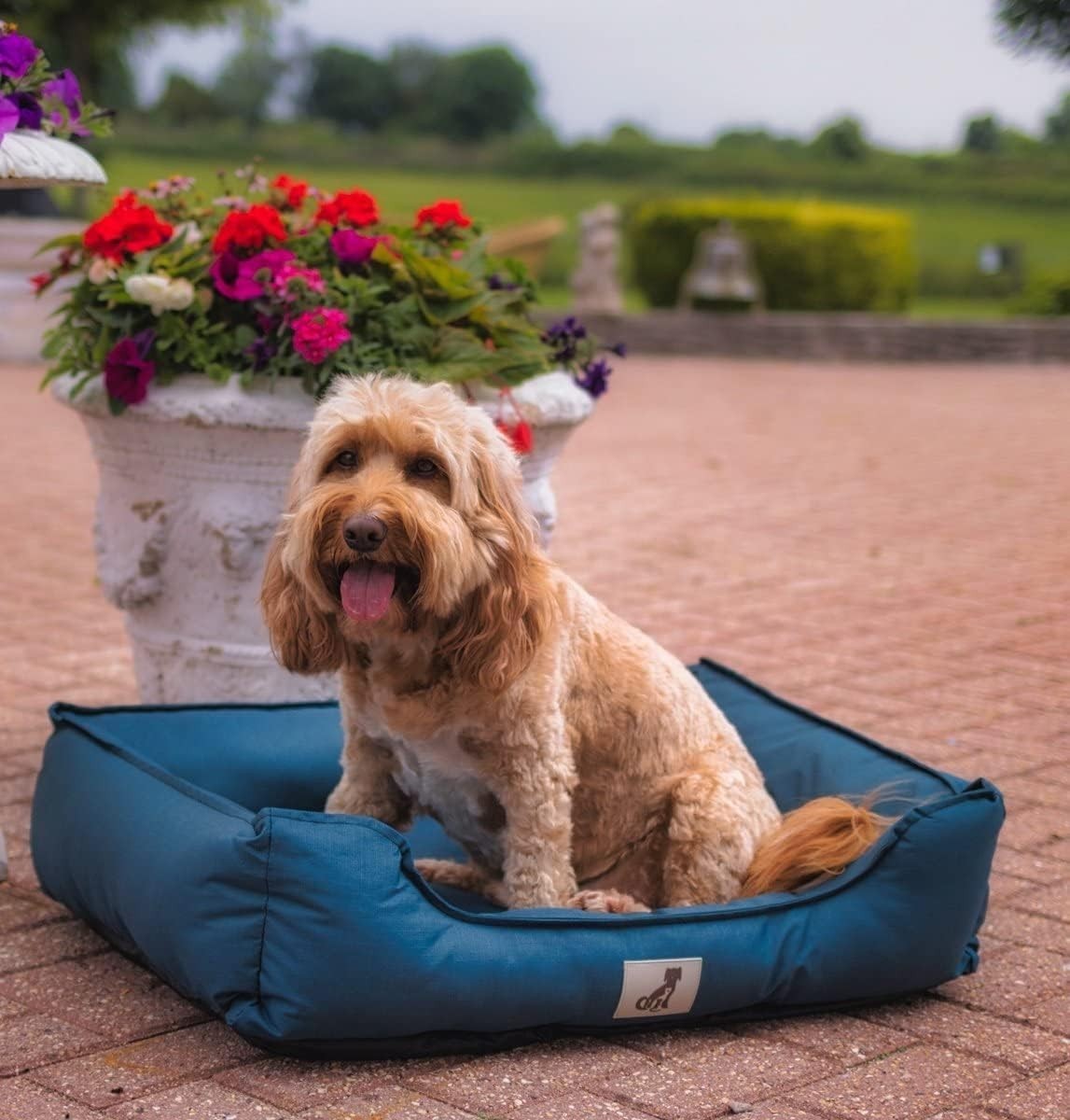 Waterproof Medium Dog Bed 75x58cm Washable Basket Blue