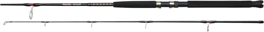 Heavy-Duty Boat Fishing Rod – Fresh & Saltwater Spinning Rod, Durable Build