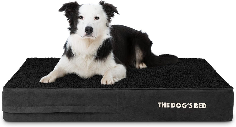 Large Orthopedic Memory Foam Dog Bed 101x64x15cm Plush