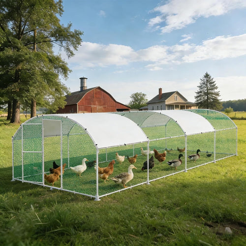 Extra Large Walk In Chicken Run 3x8m Galvanised Metal Enclosure