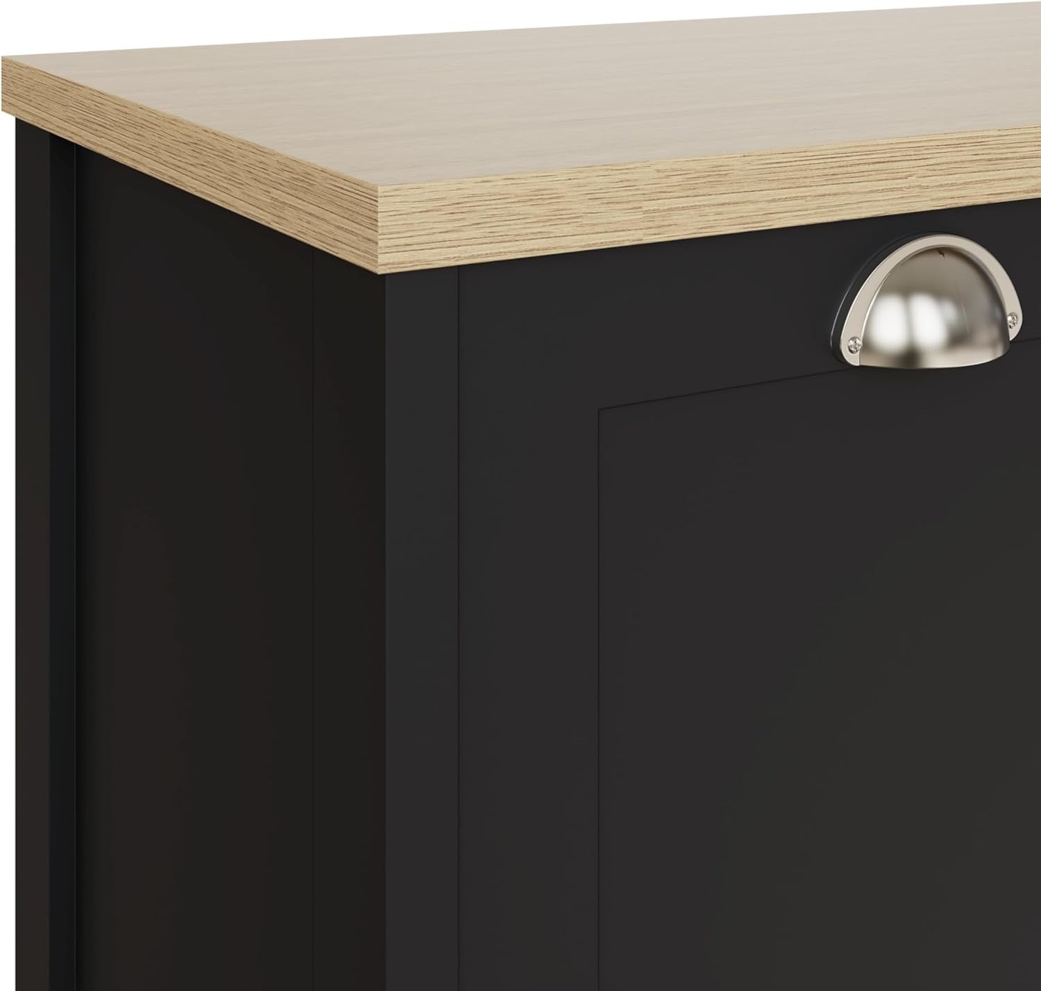Slim Black Shoe Cabinet Storage with 2 Doors, Adjustable Shelves, Hallway
