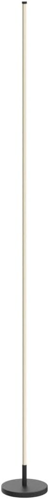 Minimalist Corner Floor Lamp LED Dimmable Remote Standing Light Black
