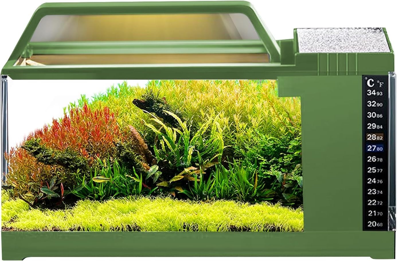 Small LED Fish Tank with Quiet Filtration Pump | Desktop Aquarium Kit