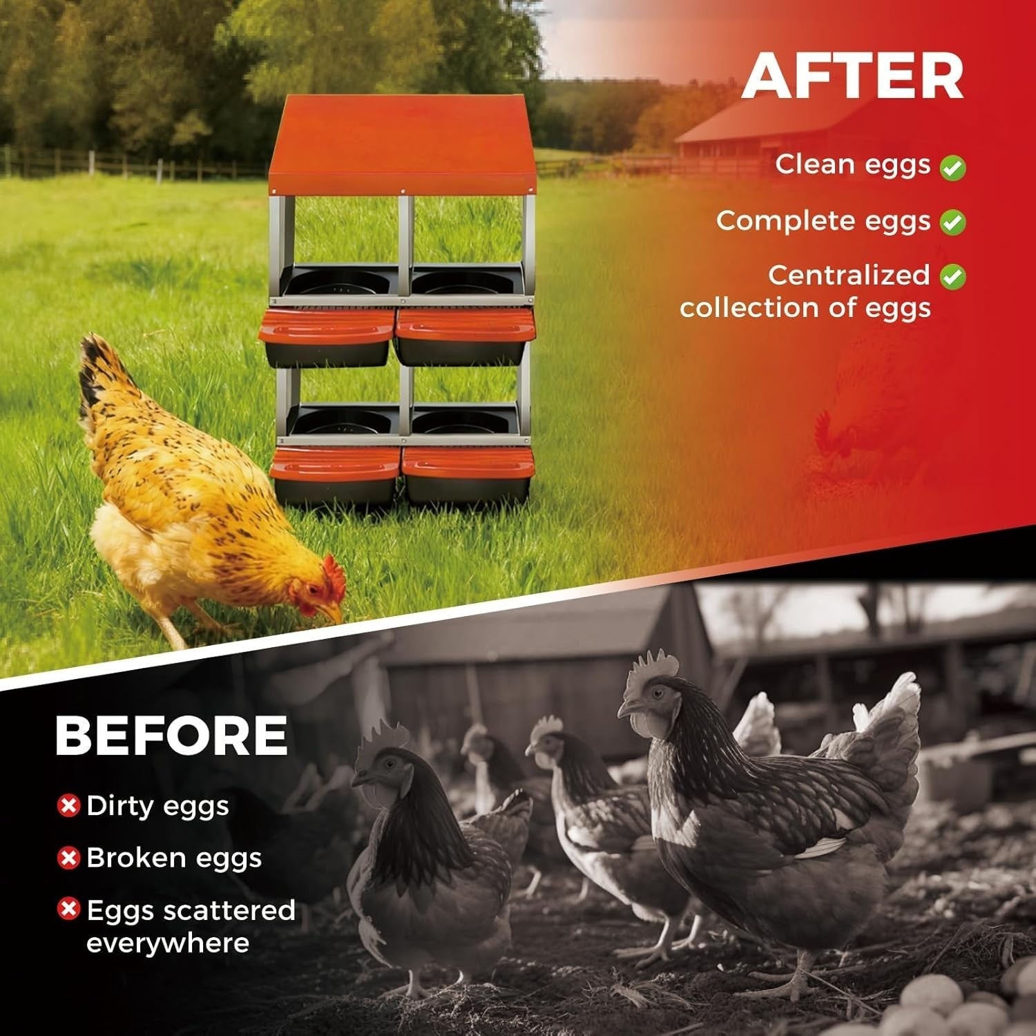 4 Chamber 2 Tier Chicken Nesting Box Steel Pull Out Tray