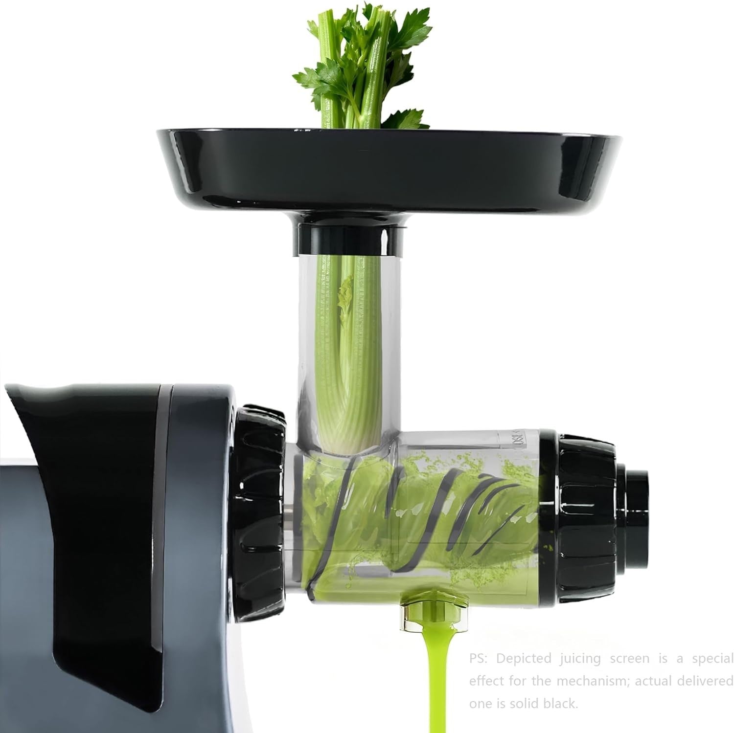 Cold Press Juicer BPA Free Slow Masticating High Yield Quiet Touch