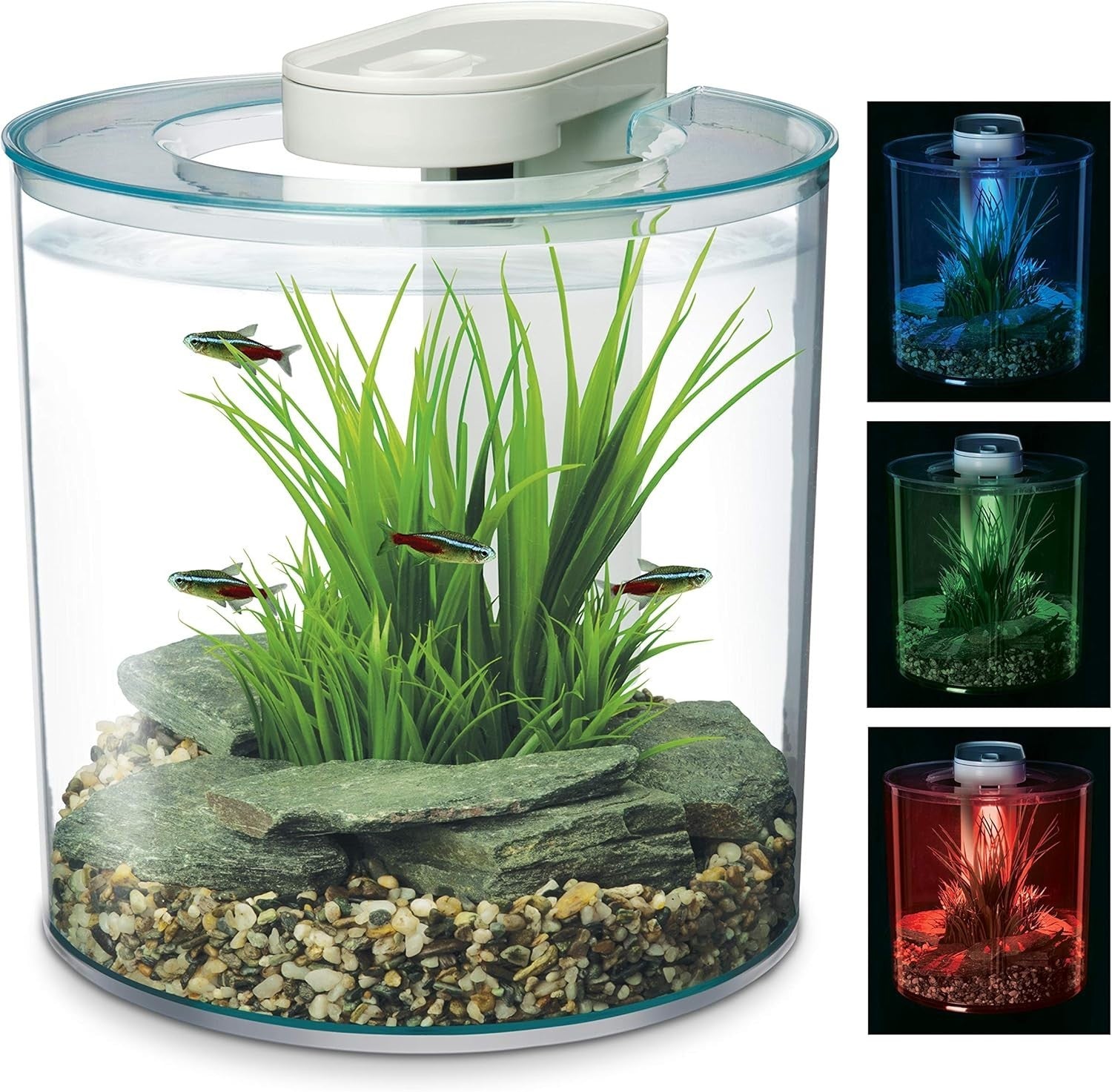 10L Round Fish Tank With Remote LED Lighting Filter Pump Aquarium