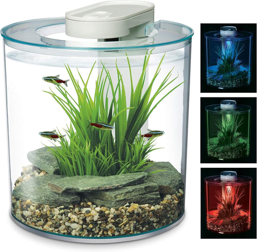 10L Round Fish Tank With Remote LED Lighting Filter Pump Aquarium