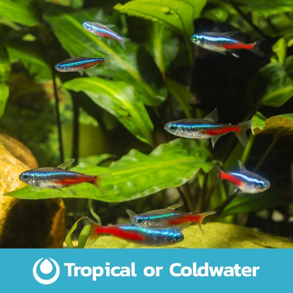 19L Tropical LED Fish Tank Kit with Filter, Heater & Light – Desktop