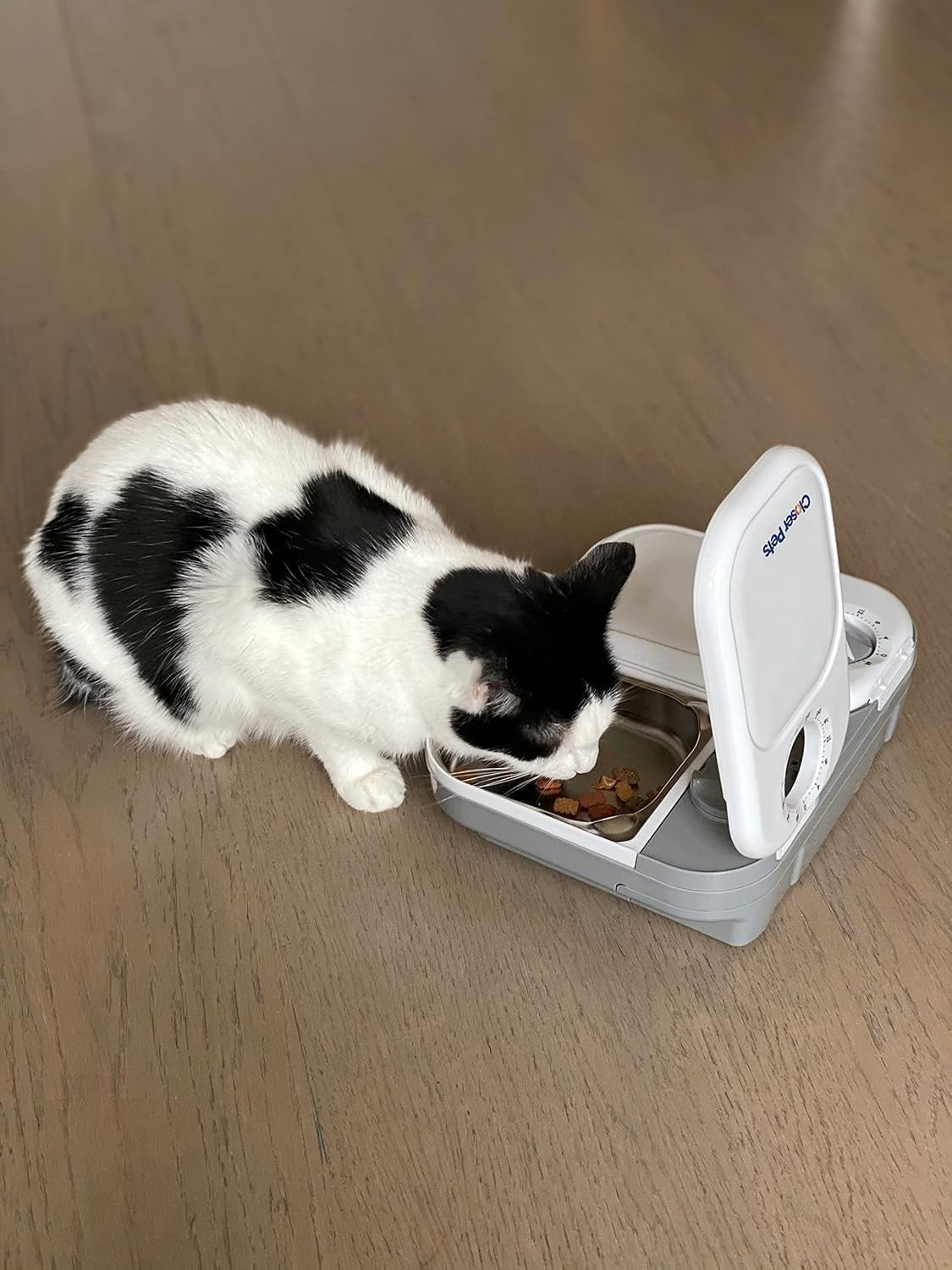 Automatic Pet Feeder 2 Meal Timer Wet Dry Food Dispenser Ice Pack