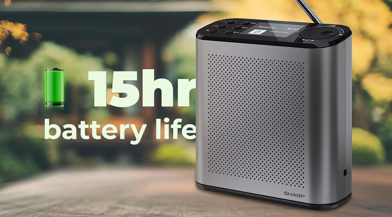 Portable DAB+/FM Digital Radio Bluetooth 5.3 Colour Display USB Storm Grey