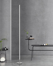 LED Corner Floor Lamp Dimmable Remote 2700–6500K Slim Modern Standing Light
