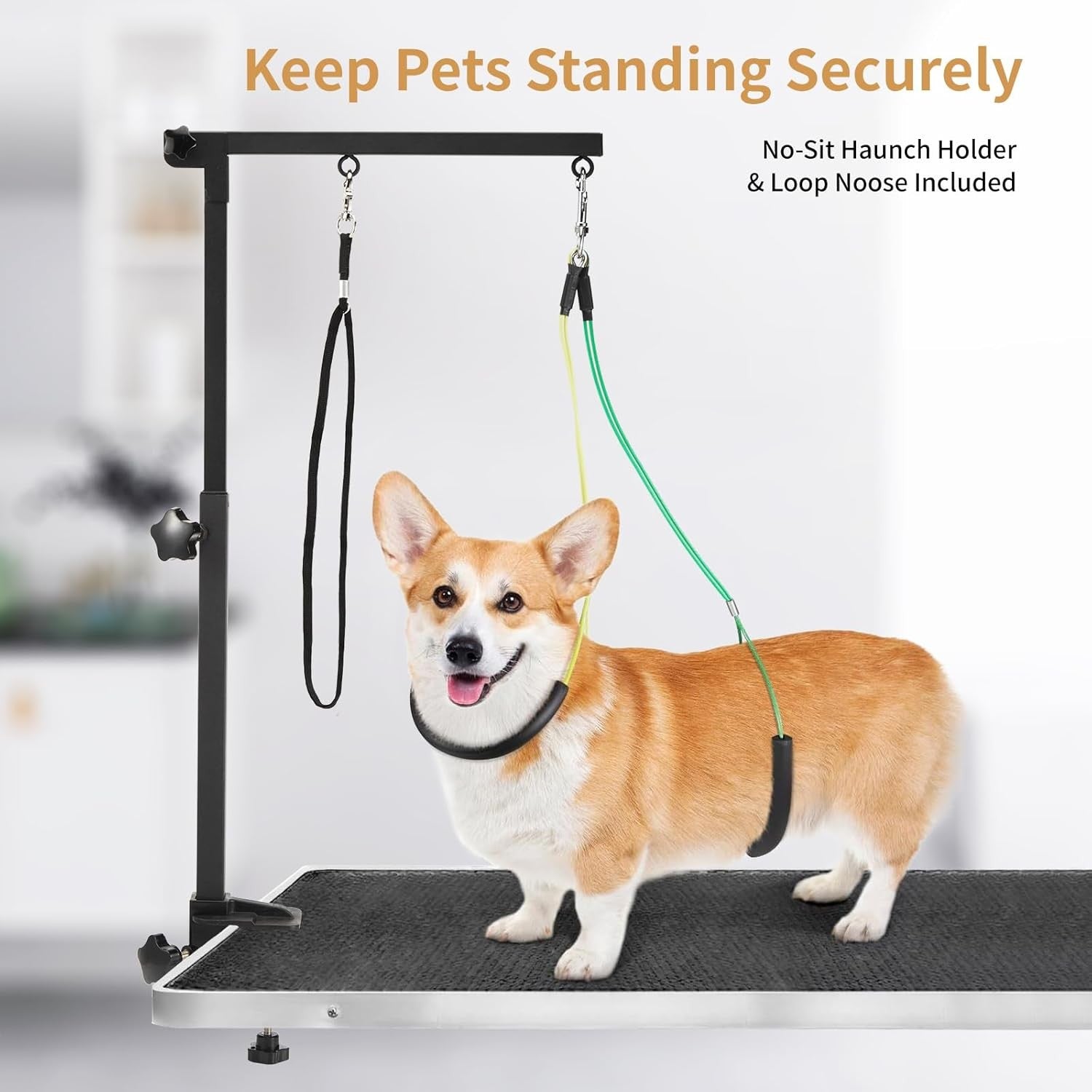 Dog Grooming Arm with Clamp Adjustable Double Loop No Sit Holder Stand