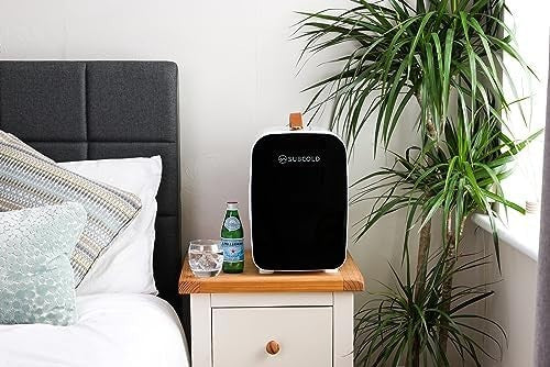 Mini Fridge 10L Portable Cooler AC/DC Compact Quiet White