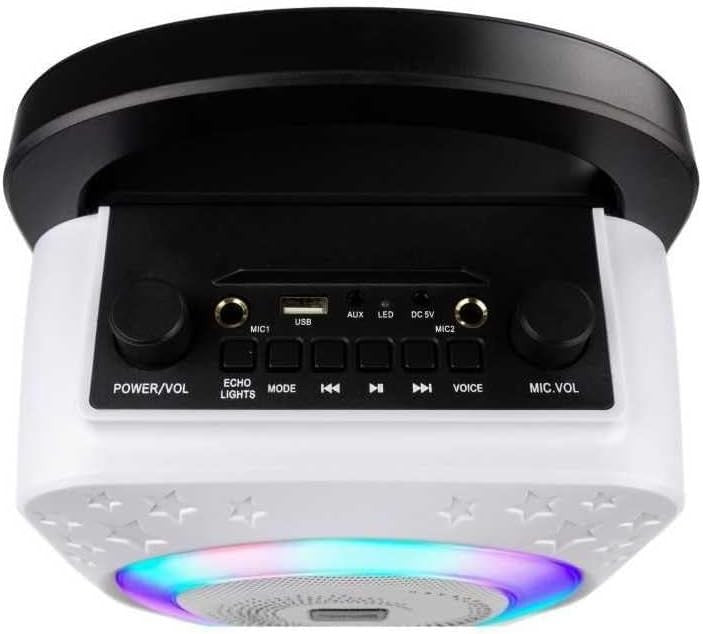 Bluetooth Karaoke Machine 10W with 2 Mics LED Party Speaker