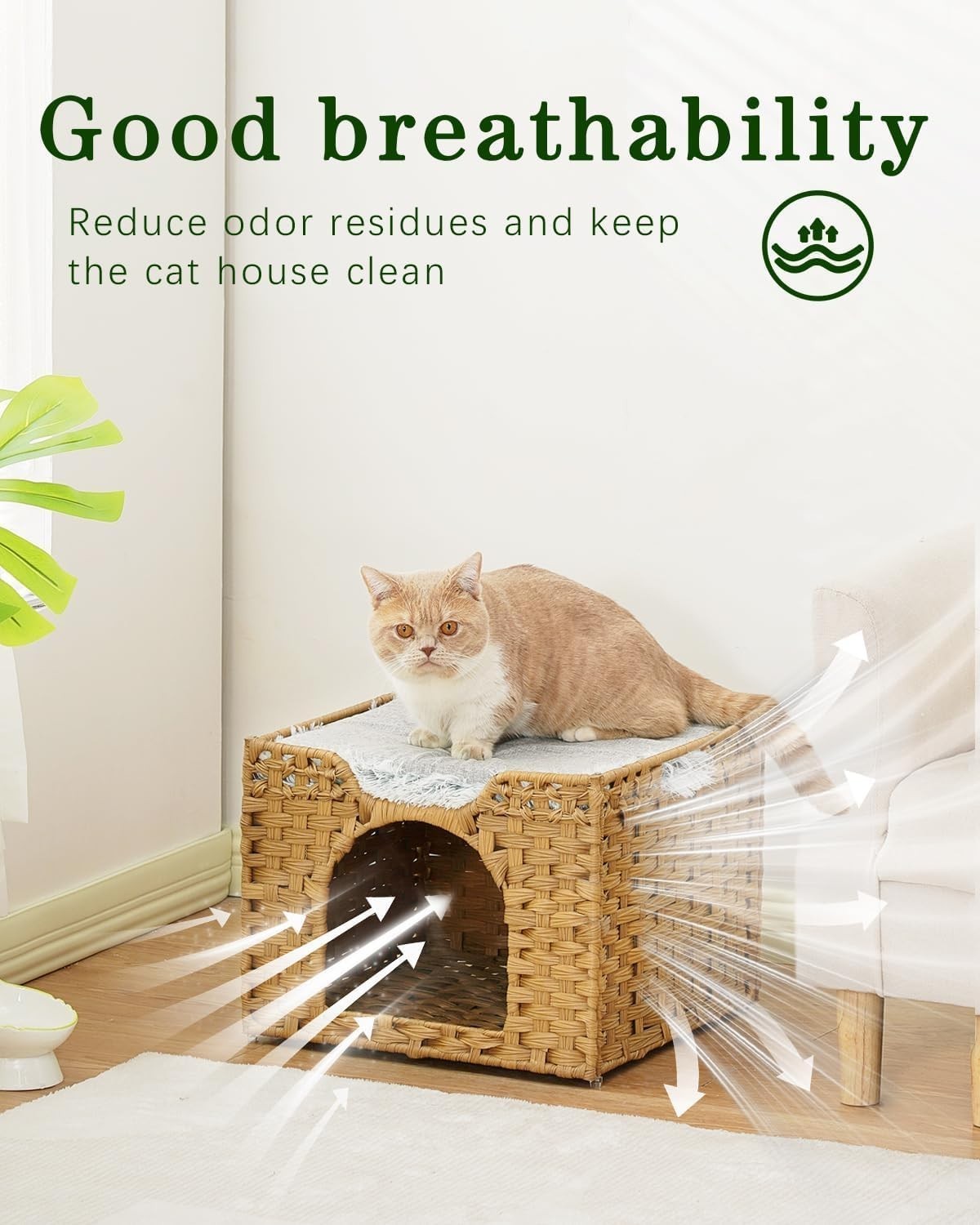 Handwoven Rattan Cat Cave Foldable Indoor Kitten Bed Hideaway Cube