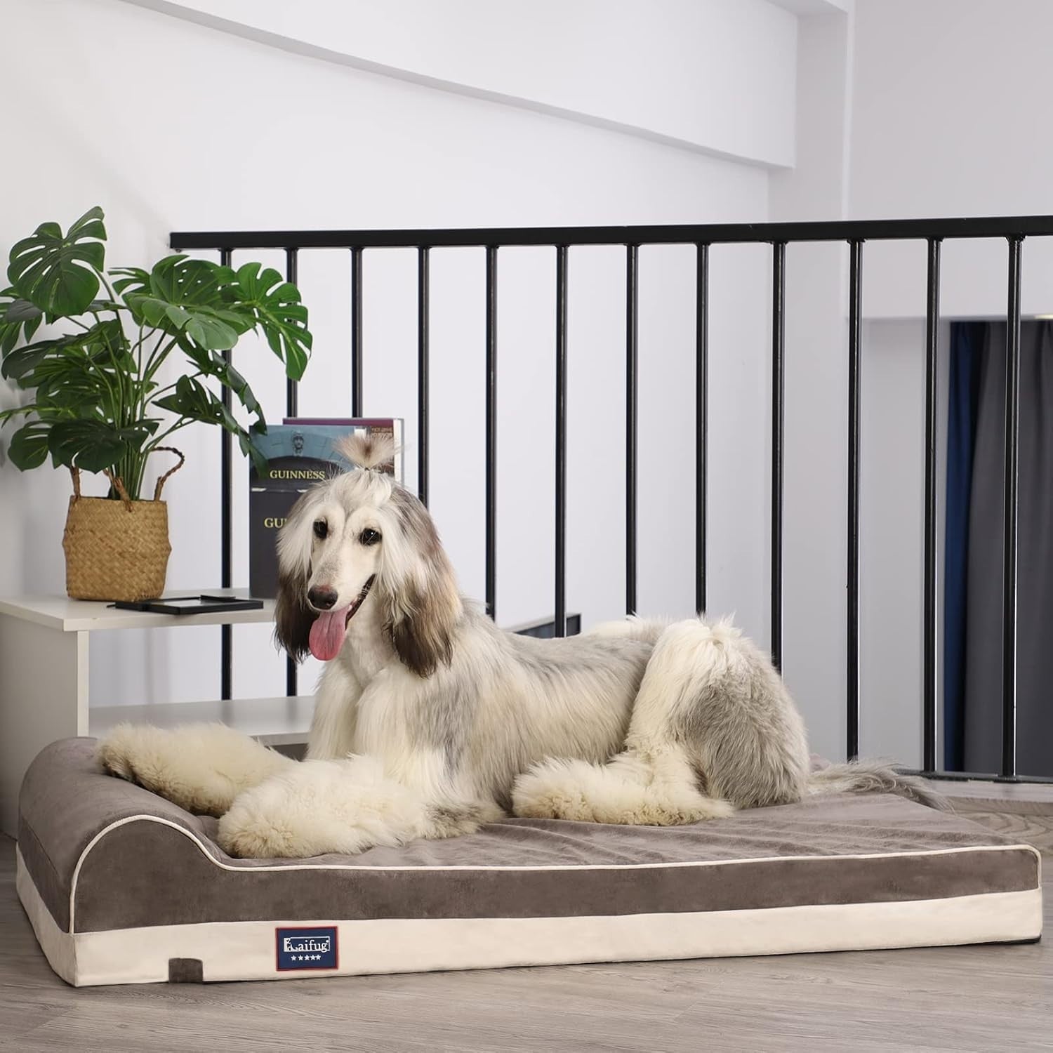 Large Orthopedic Memory Foam Dog Bed 46x28x8in Washable