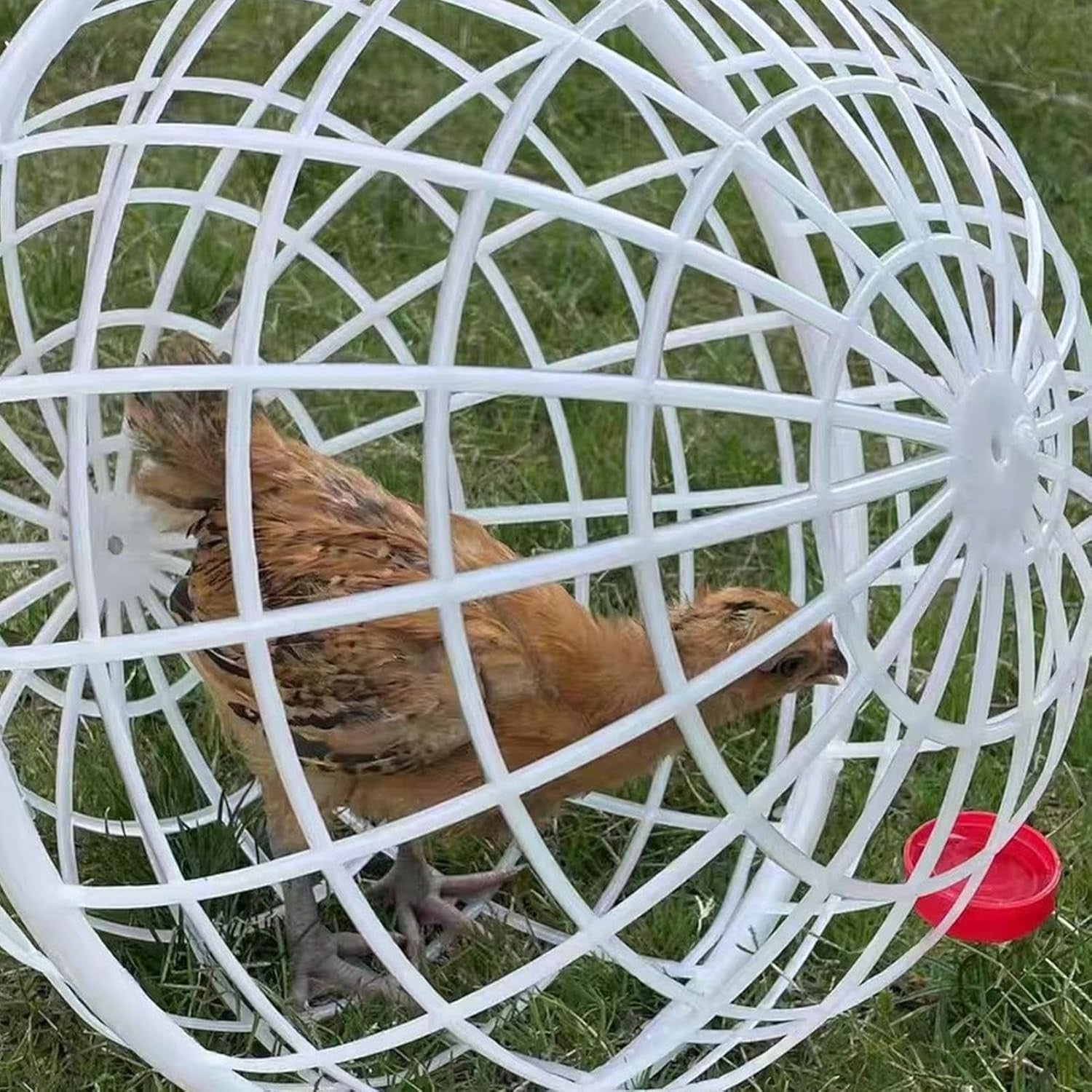 3X Portable Chicken Ball Cage Round Poultry Enclosure