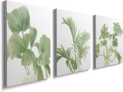 Green Botanical Wall Art Set of 3 Framed Canvas 12x16in