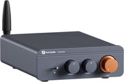 Black 2x300W Bluetooth 5.0 Stereo Amplifier – Mini Hi-Fi Class D