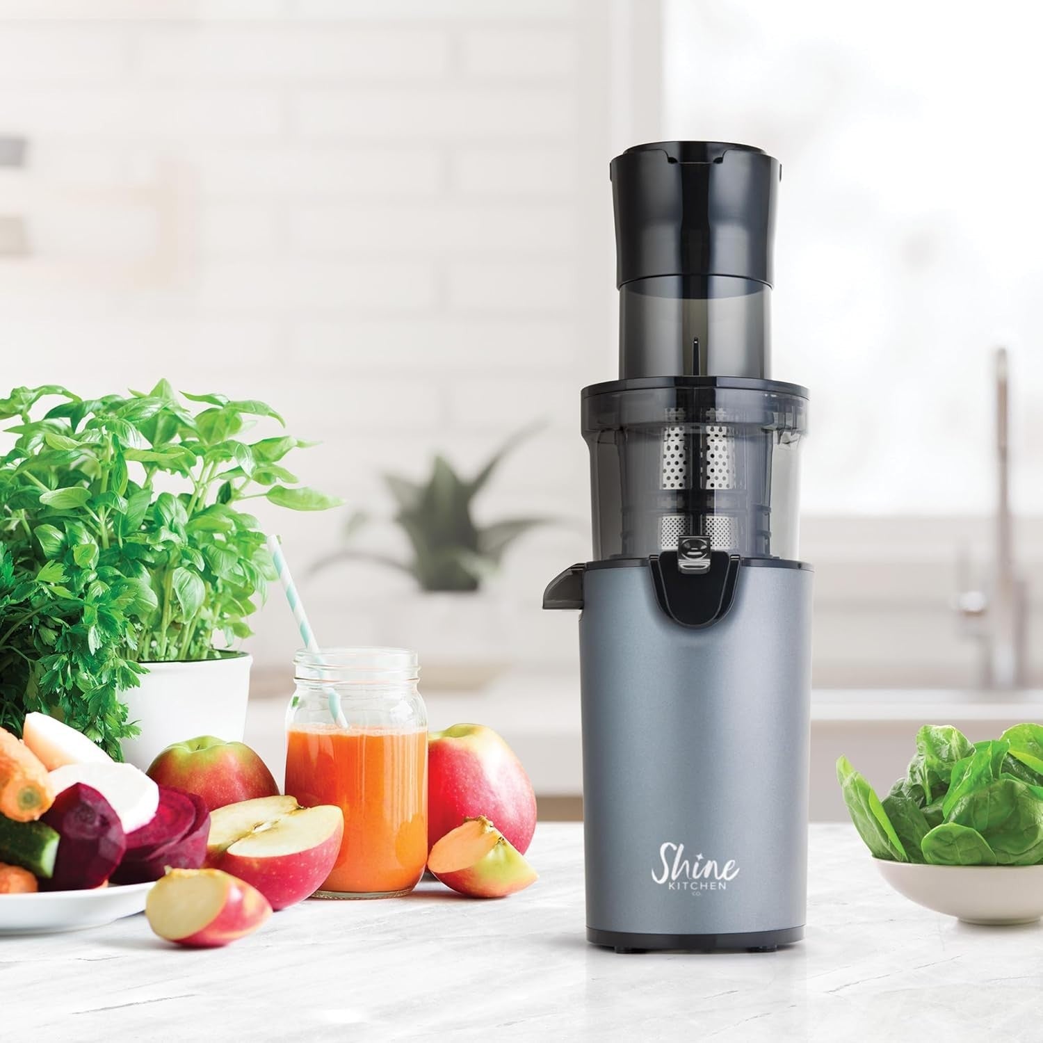 XL Feed Cold Press Juicer Compact Masticating Easy Clean Hands Free