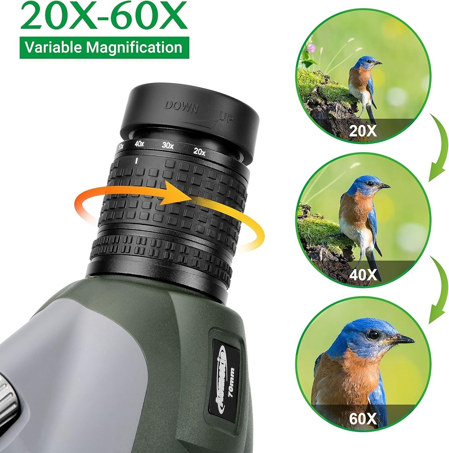 20-60X70 Spotting Scope for Bird Watching with Tripod & Phone Adapter