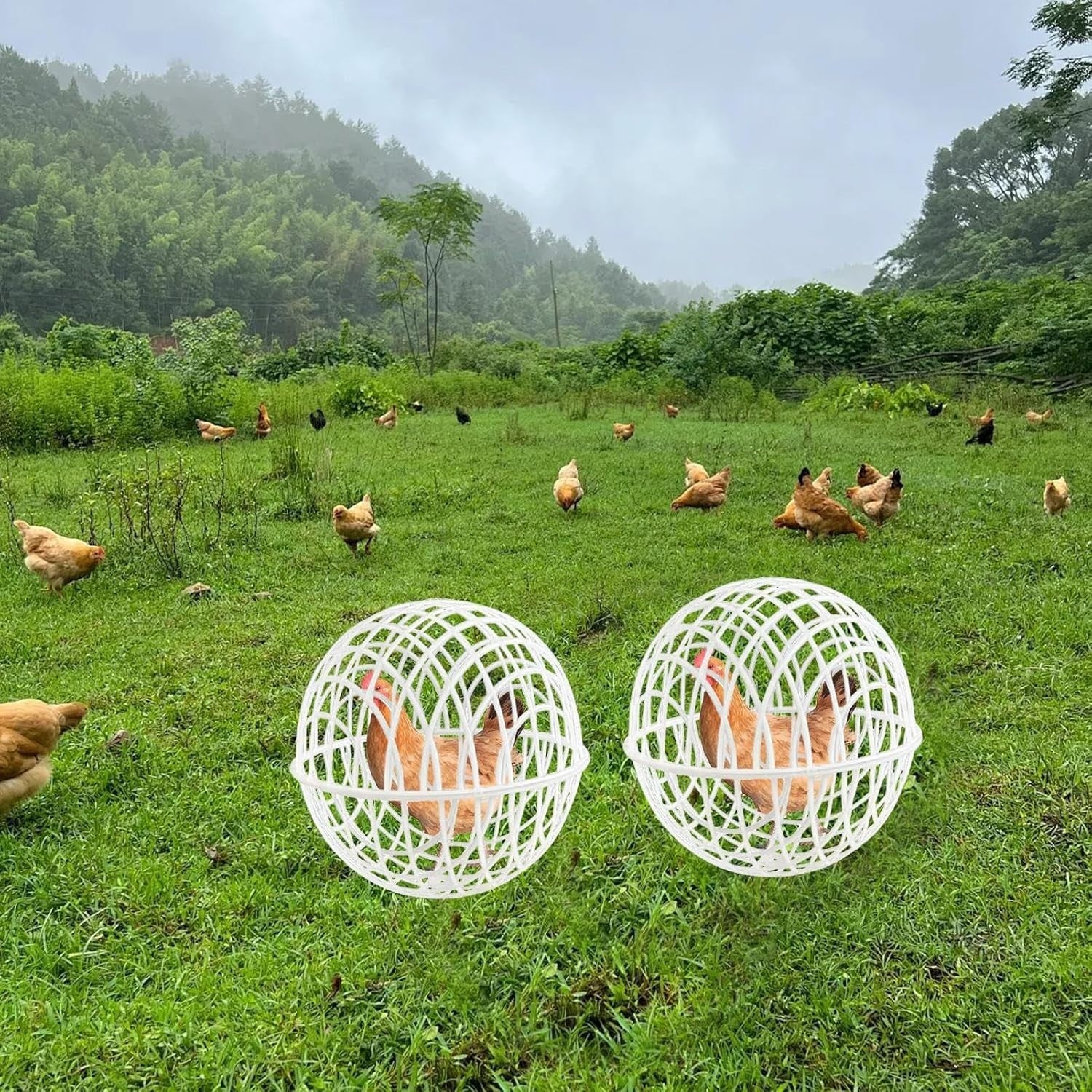 3Pc Portable Chicken Ball Enclosure Outdoor Rolling Run