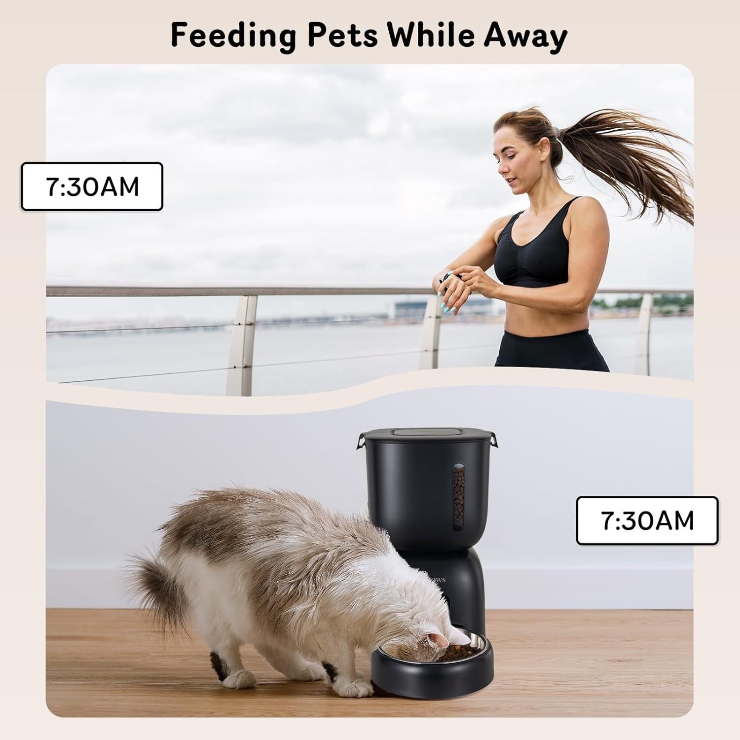 Automatic Cat Feeder Water Dispenser 3L Timed Pet Food Feeder Voice Record