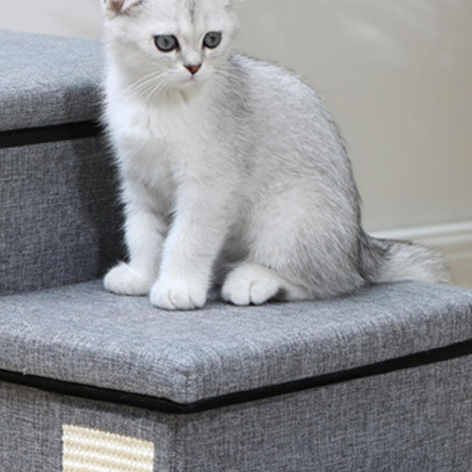 Dog Steps for Bed Pet Stairs with Ladder & Storage Box for Cats