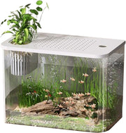Desktop Aquarium Starter Kit | Small Turtle & Goldfish Tank for Home