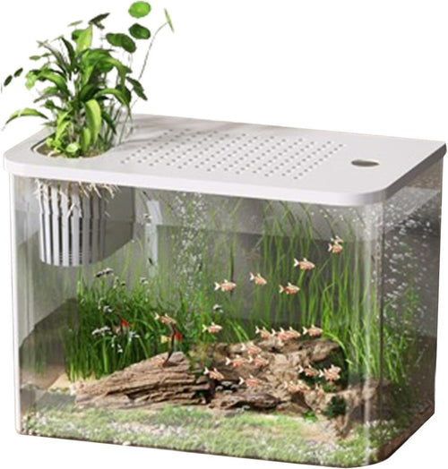 Desktop Aquarium Starter Kit | Small Turtle & Goldfish Tank for Home