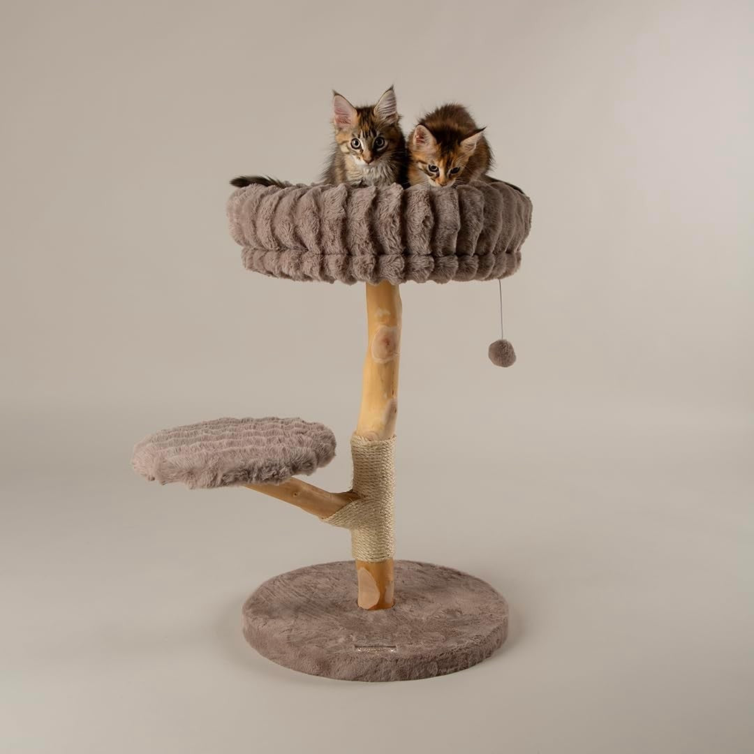 Luxury Cat Scratching Tree Plush Bed Sisal Post Compact Climbing Tower
