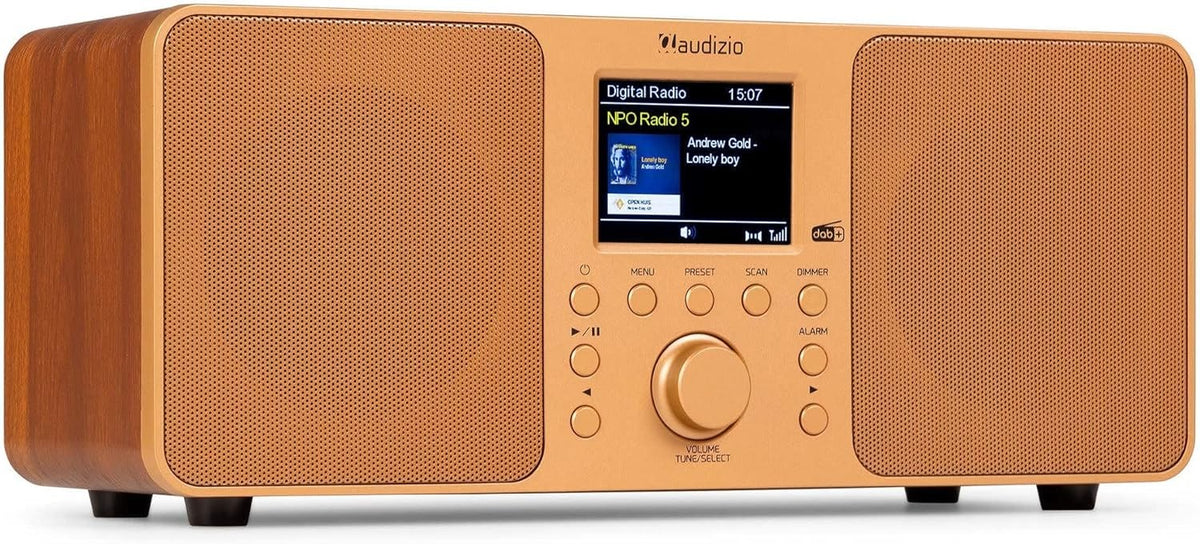 DAB+ Stereo Digital Radio Bluetooth USB AUX Dual Alarm Colour Display Copper