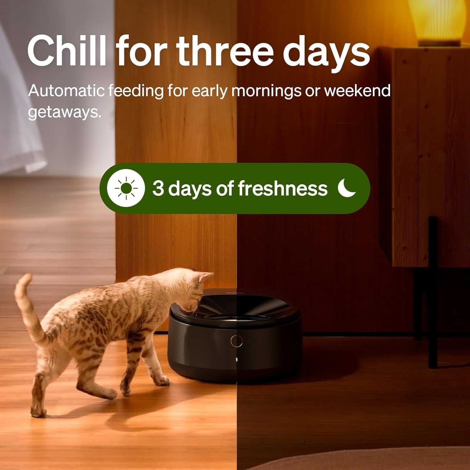 Automatic Wet Cat Feeder Refrigerated App Control 3 Day Timed Feeder
