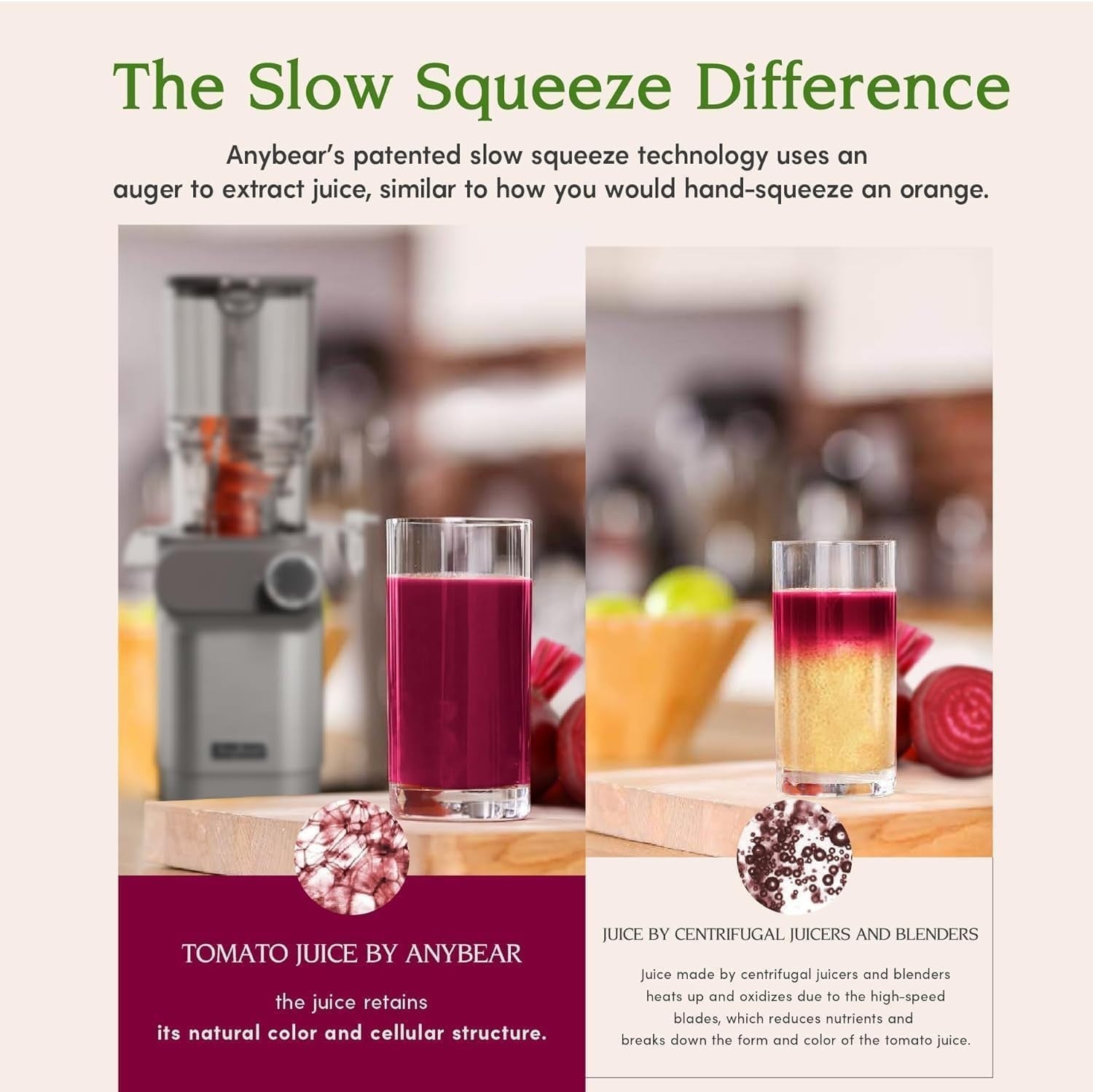 Cold Press Juicer 4.3in Wide Chute Whole Fruit 200W High Yield BPA Free Slow