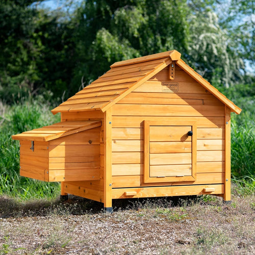 Large Wooden Chicken Coop Hen House Nest Box Easy Clean Ventilated