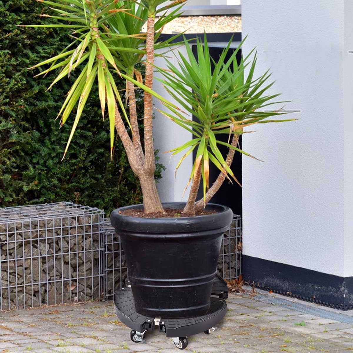 2 Pack Adjustable Rolling Plant Stand with Wheels Heavy Duty 15–21" 330lbs Caddy