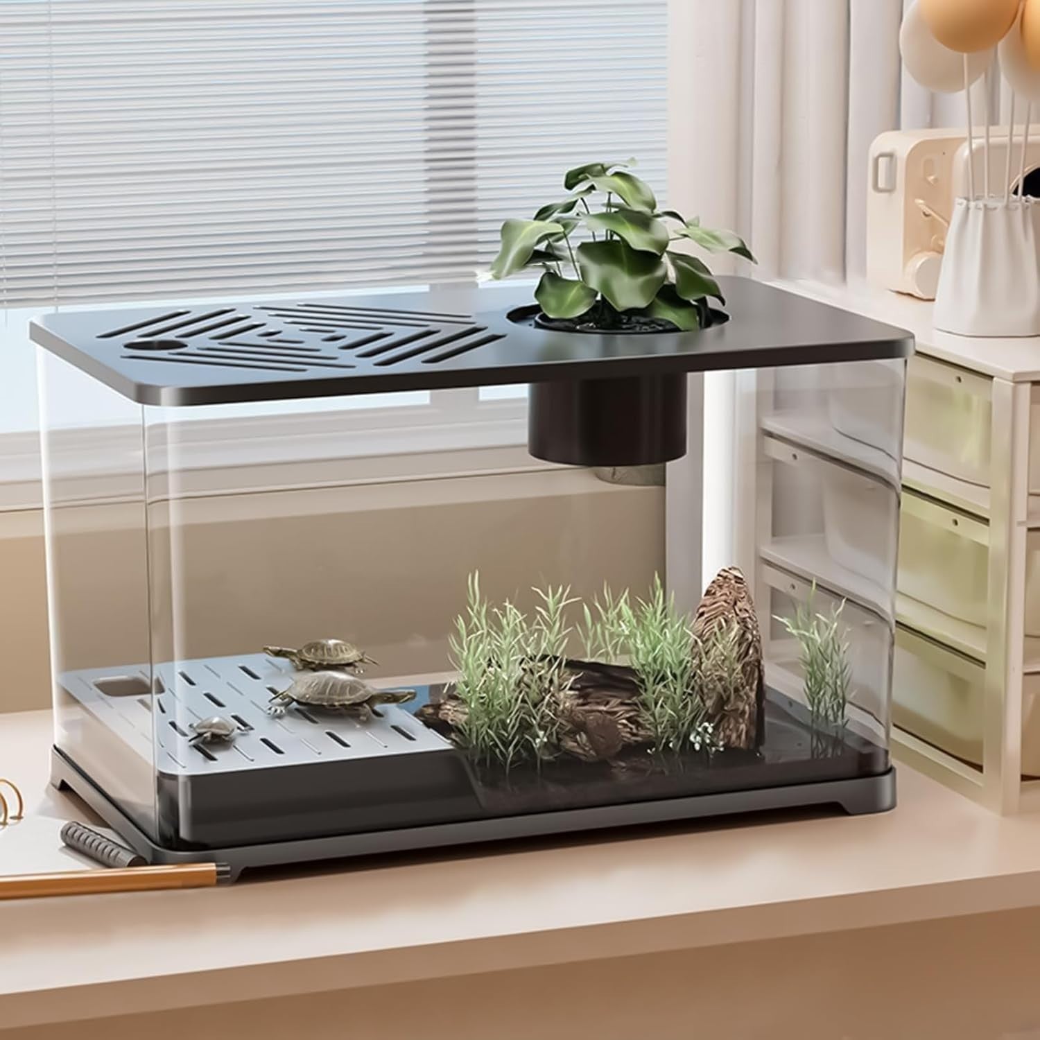 Large Desktop Aquarium for Betta, Turtle Sunbathing & Shrimp Tank