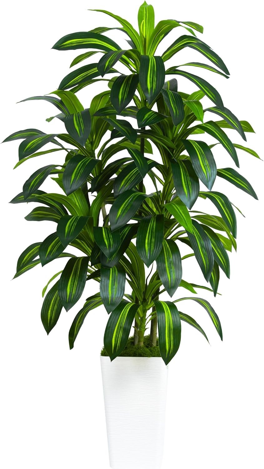 150cm Dracaena Artificial Tree in White Tall Planter Indoor Home Decoration