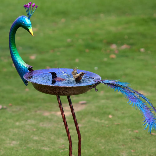 Peacock Bird Bath Outdoor Garden Decor – Metal Feeder Tray Yard Ornament 38