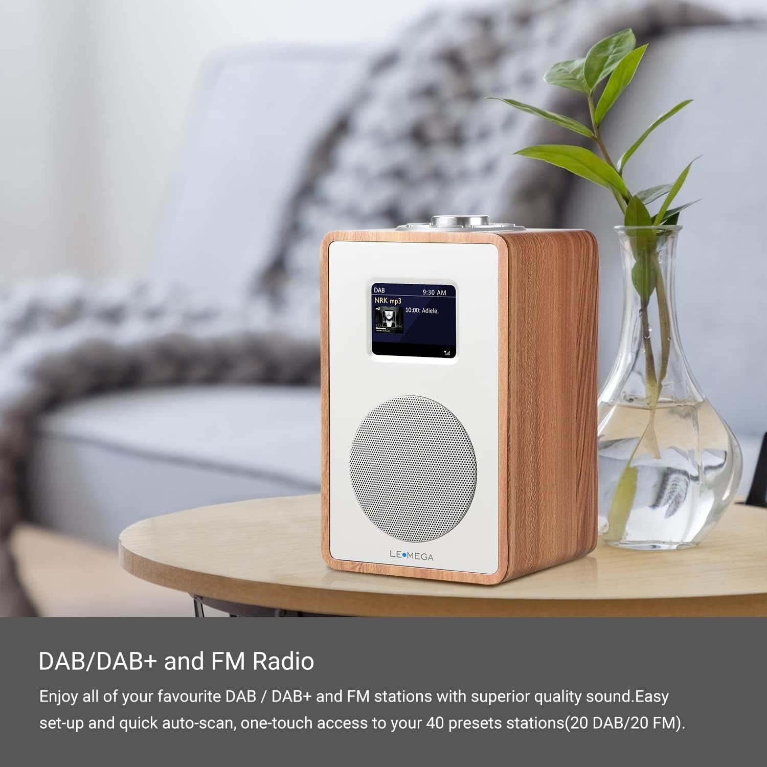 DAB DAB+ FM Digital Radio Bluetooth Dual Alarm Wooden Effect Display